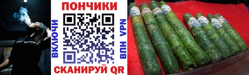 Где можно купить наркотики Кедровый ГЕРОИН  ГАШ  Бошки Шишки  Псилоцибиновые грибы 