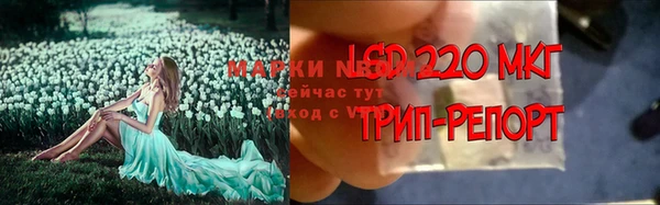 гашик Карталы