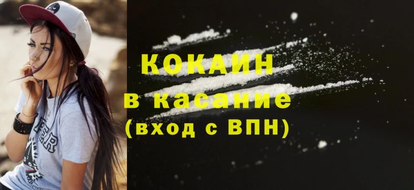 гашик Карталы