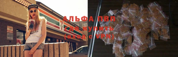 сатива Касимов