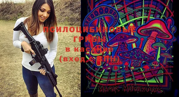 сатива Касимов