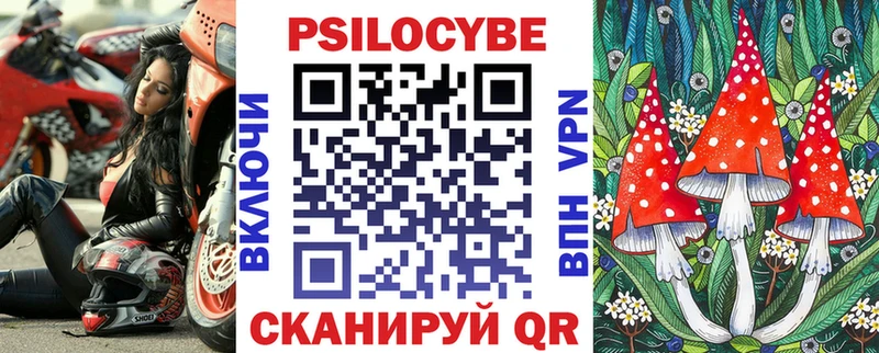 Псилоцибиновые грибы Cubensis  Кедровый 